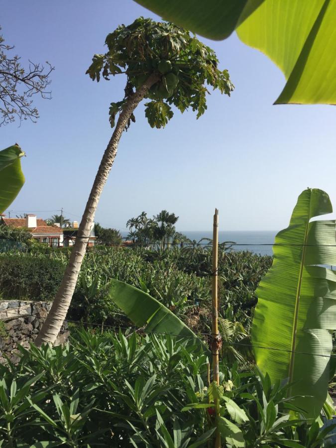Mango House Villa Арко да Калйета Екстериор снимка